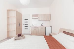 Апарт-отель Apartments near Deribasovskaya . Люкс двухместный  9