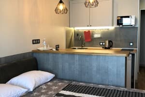 Arcadia apartament & sea terrace 5