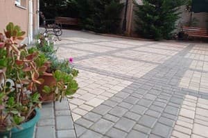 Два Академика 6