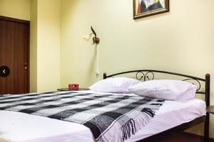 Хостел Koleso. Делюкс двухместный с 1 кроватью 1