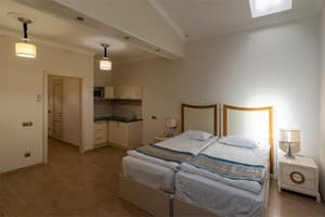 Апарт-отель Metro Hotel Apartments. Апартаменты двухместный мансарда 1