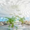 NEMO Hotel Resort & SPA 23