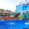 NEMO Hotel Resort & SPA 58