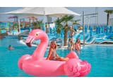 NEMO Hotel Resort & SPA 69