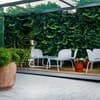 Villa Pinia eco-hotel 6